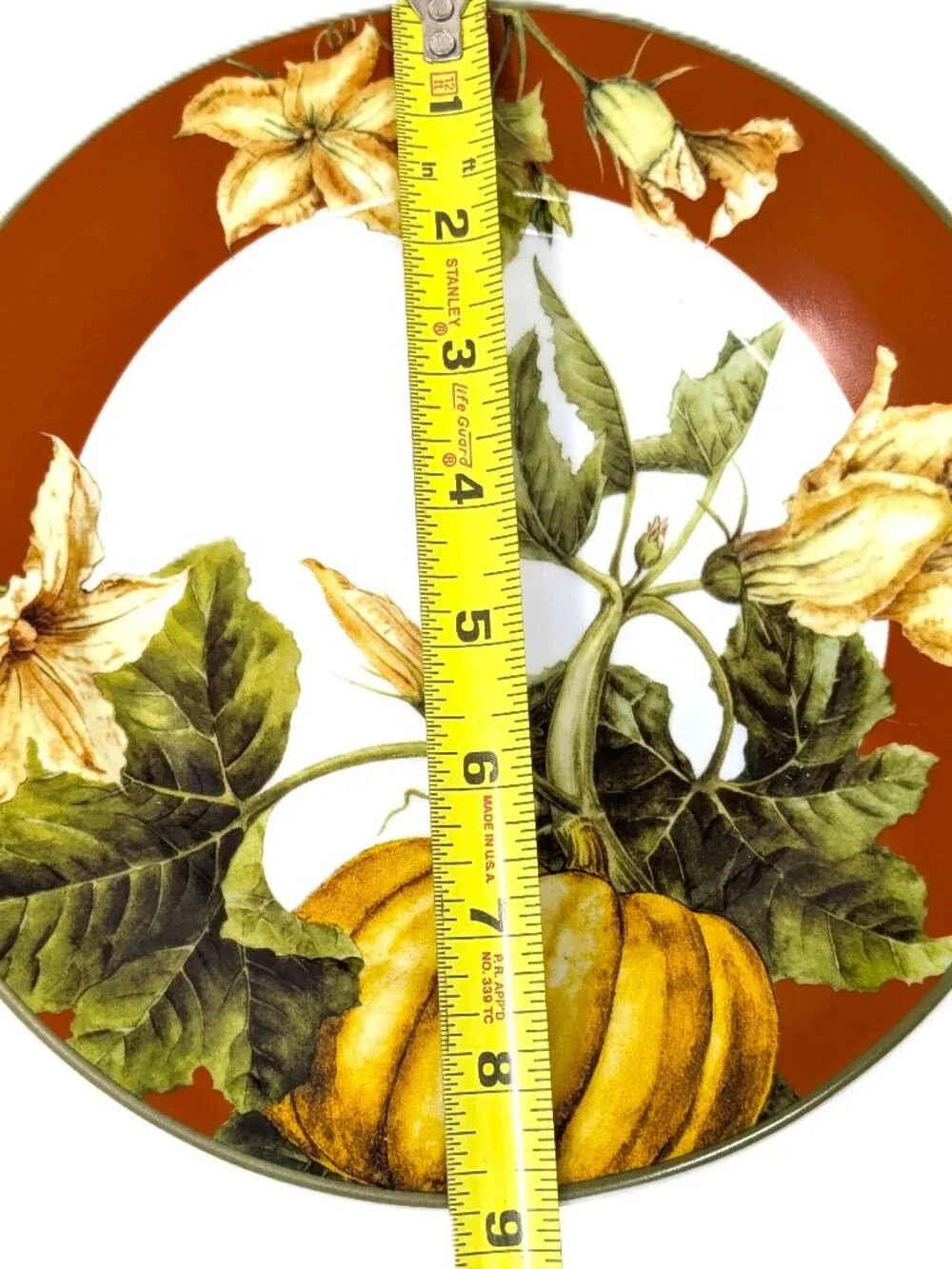 Williams Sonoma BOTANICAL PUMPKIN Salad Plates Set 5 Dark Red Fall 8 1/2